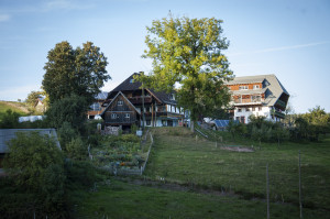 mooshof-bereit-fuer-die-zukunft