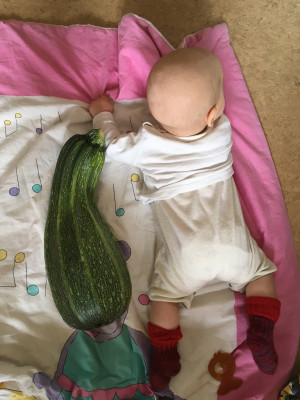 baby-verweigert-feste-nahrung