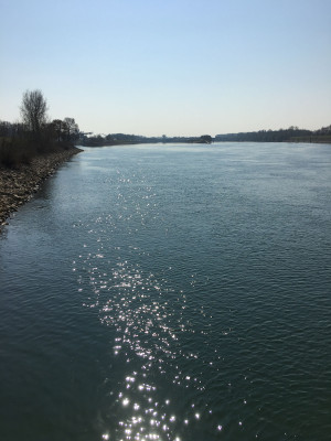 Glitzernder Rhein Radwandern mit Baby von Karlsruhe nach Straßburg