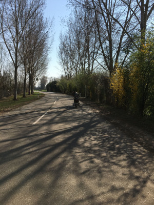 Rheinradweg oft auch mal auf Straßen