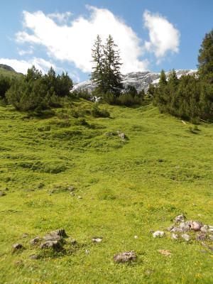 Saftiges Grün der ersten Lechweg-Etappe