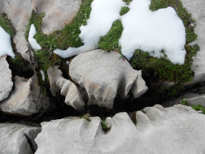 Detail Felsspalten Steinernes Meer