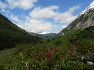 Weitwandern auf dem Lechweg