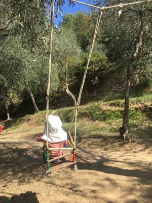 agriturismo-legrigue-spielplatz-oliventerrassen