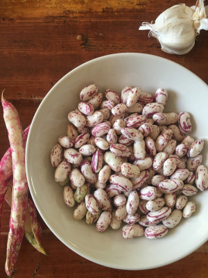 borlotti-bohnen-selbst-kochen