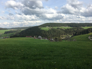 mooshof-schwarzwald-wandern-mit-kind