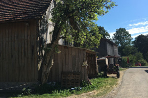 urlaub-bio-bauernhof-kinder