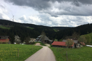 urlaub-mooshof-bioland-bauernhof